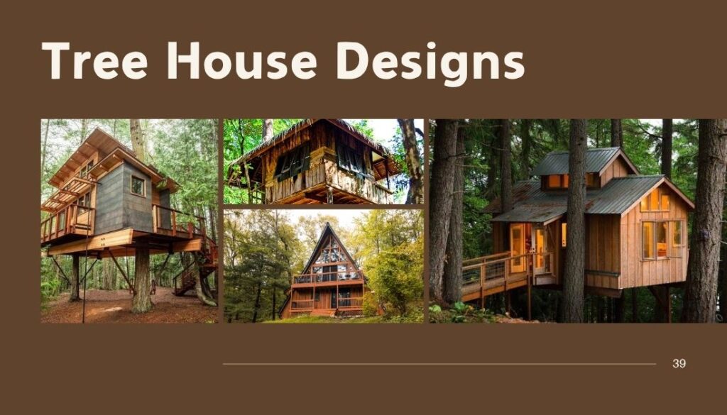 Latest Trends in Tree House Designs