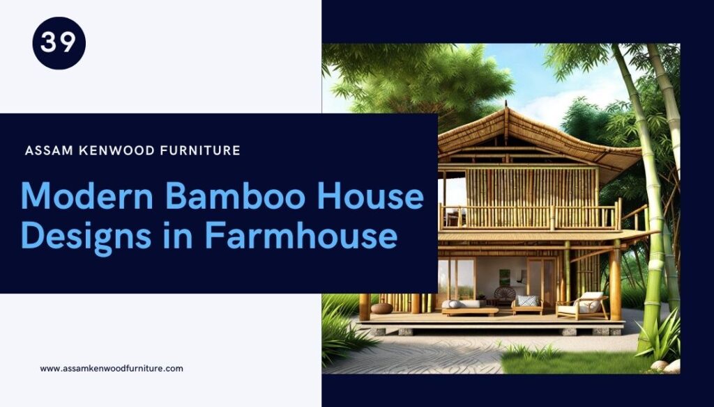 Modern Bamboo House Designs in Farmhouse